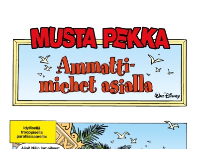 Ammattimiehet asialla