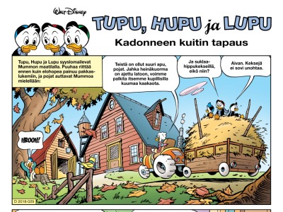 Kadonneen kuitin tapaus