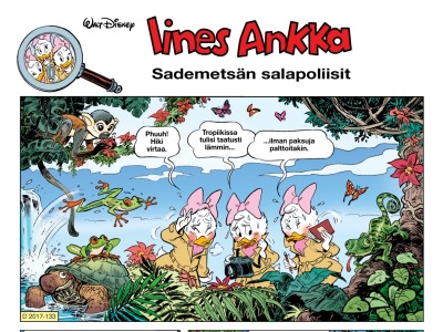 30456 Sademetsän salapoliisit