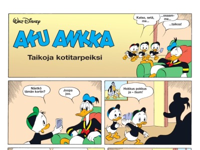 Taikoja kotitarpeiksi