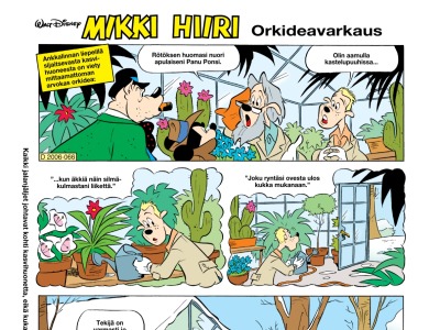 Orkideavarkaus