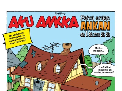 Päivä erään ankan elämää