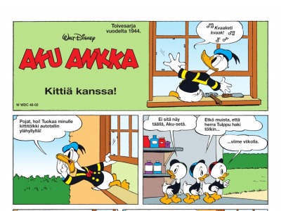 Kittiä kanssa!