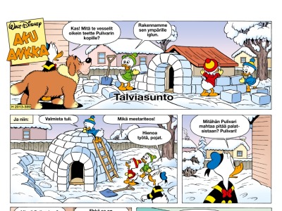 Talviasunto