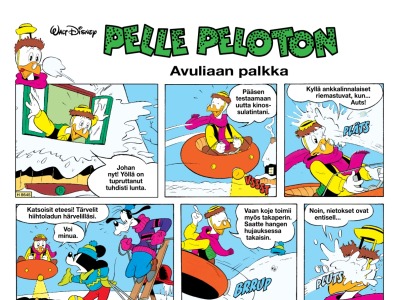 31626 Avuliaan palkka