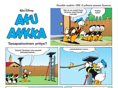 Tasapainoinen yritys