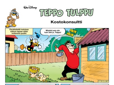 Kostokonsultti