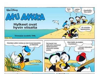 Hylkeet ovat hyvin viisaita