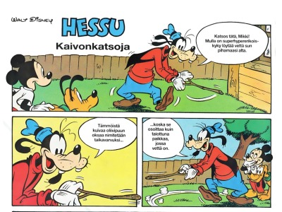 Kaivonkatsoja