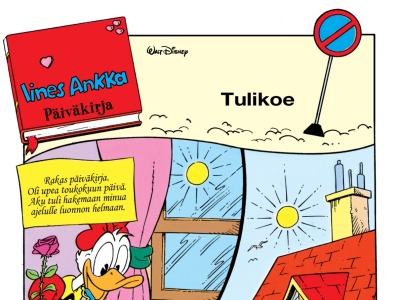 Tulikoe