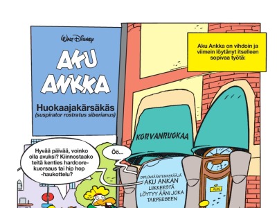 Huokaajakärsäkäs (suspirator rostratus siberianus)
