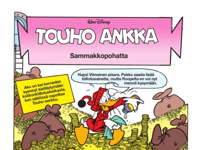 Sammakkopohatta