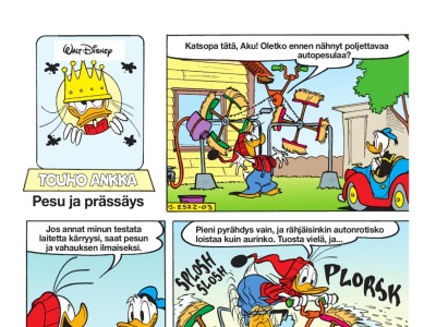 Pesu ja prässäys