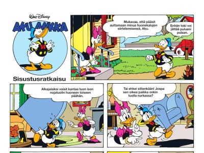 Sisustusratkaisu