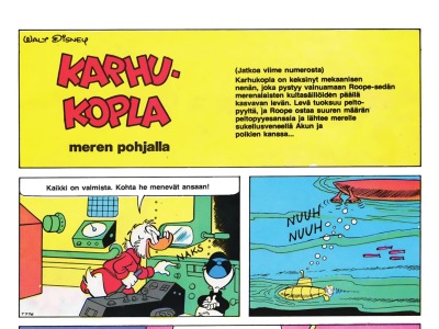 Karhukopla meren pohjalla