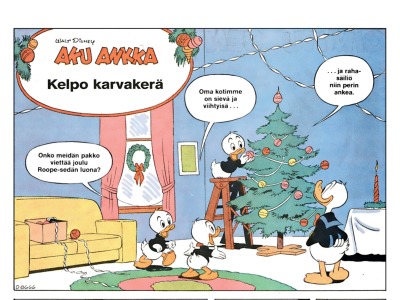 Kelpo karvakerä