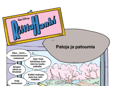 33018 Patoja ja patoumia