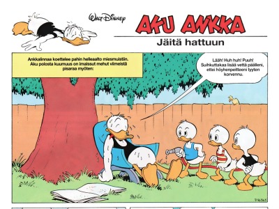 Jäitä hattuun