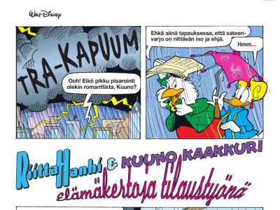 Elämänkertoja tilaustyönä