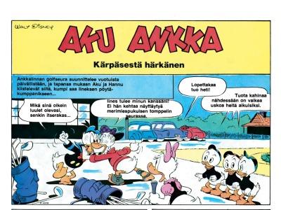 Kärpäsestä härkänen