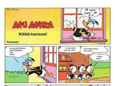 Kittiä kanssa!