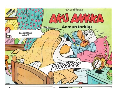 Aamun torkku