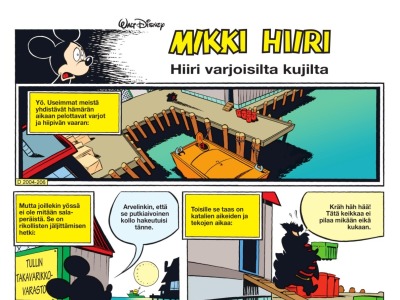 Hiiri varjoisilta kujilta