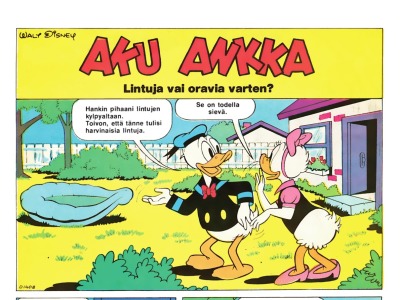 Lintuja vai oravia varten?
