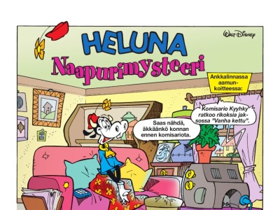 23606 Naapurimysteeri