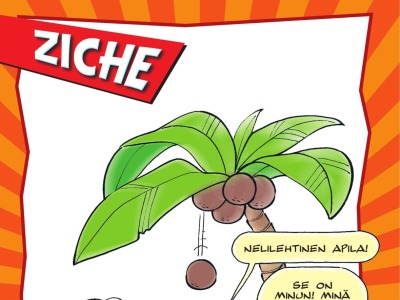 Ziche