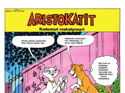 Kadonnut roskatynnyri