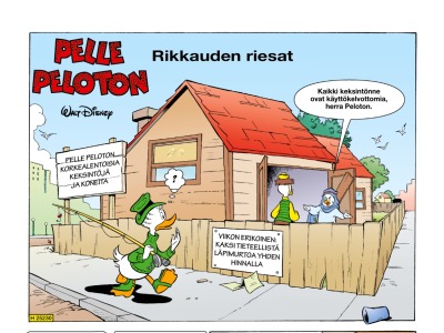 Rikkauden riesat