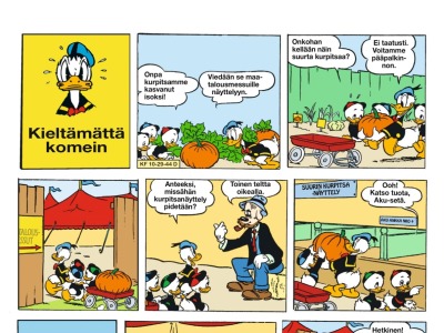 Kieltämättä komein