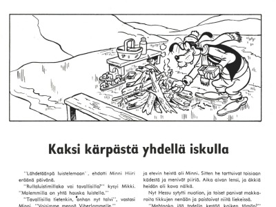 Kaksi kärpästä yhdellä iskulla