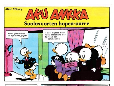 Suolavuorten hopea-aarre