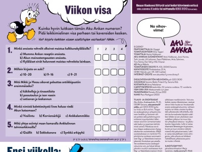 Viikon visa