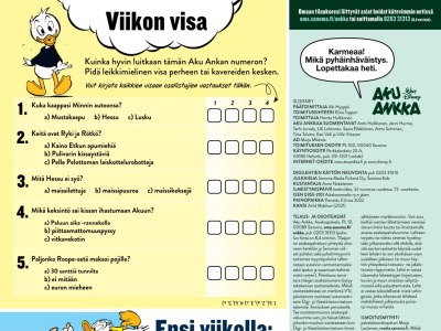 Viikon visa