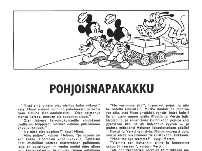 Pohjoisnapakakku