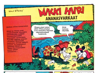 Ananasvarkaat