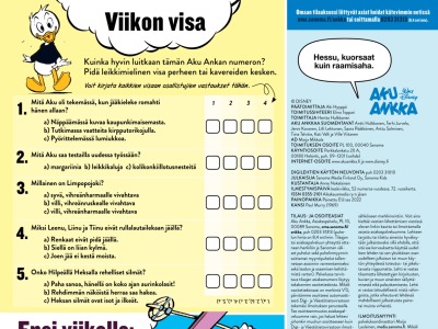 Viikon visa