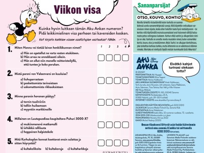 Viikon visa