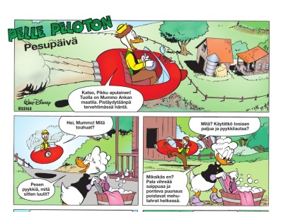 Pesupäivä