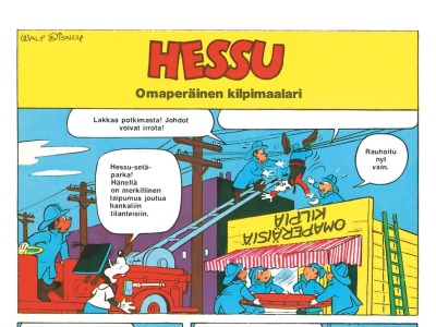 24747 Omaperäinen kilpimaalari