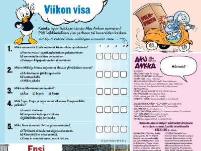 Viikon visa