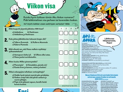 Viikon visa