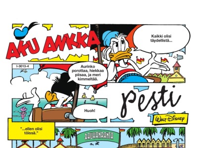 Pesti rantavahtina