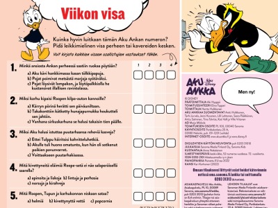 Viikon visa