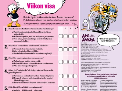 Viikon visa