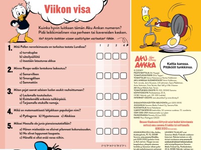 Viikon visa