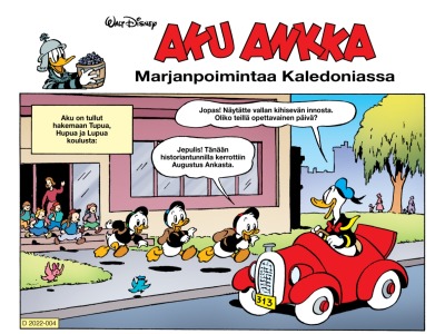 35209 Marjanpoimintaa Kaledoniassa